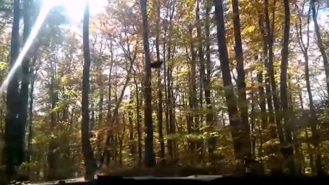 Off road - no problem - JEEP Grand Cherokee WH🏆 смотреть онлайн