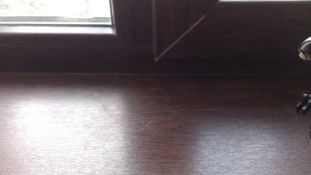 все мои Лего динозавры смотреть онлайн