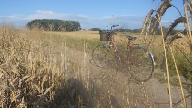 Summer in Poland - Country side in Poland смотреть онлайн