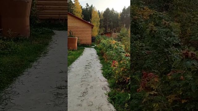 ОРУЩАЯ МАМА смотреть онлайн