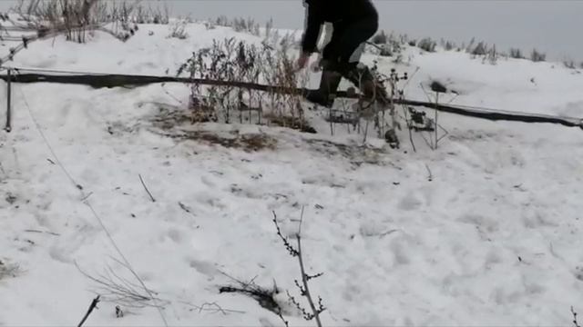 Видео друзей Ловля на тайник смотреть онлайн