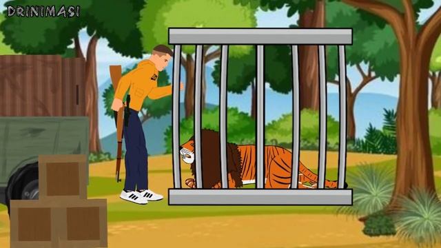 Big Cats, Black Panther, Black Jaguar, Tiger, White Tiger, Lion, Liger, Tigon - DC2 Animation