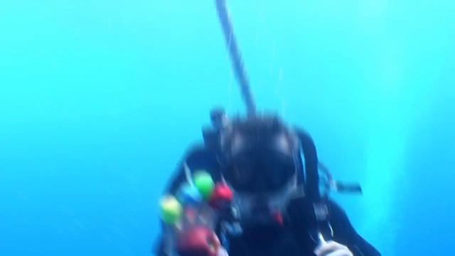 Why are apples red and the ocean blue? смотреть онлайн