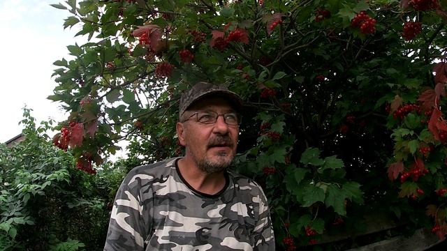 строительство питомника и объявления смотреть онлайн