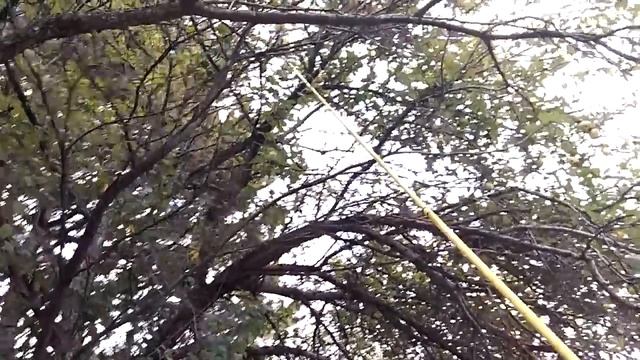 Apple picking in Michigan смотреть онлайн