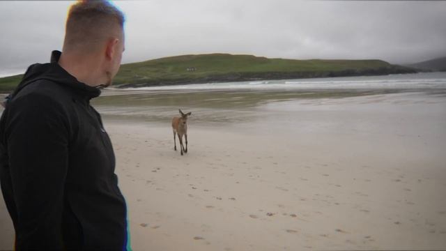Scotland Guide For Campervans and Motorhomes 2024 смотреть онлайн