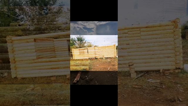 Рекламный ролик август 2023 смотреть онлайн