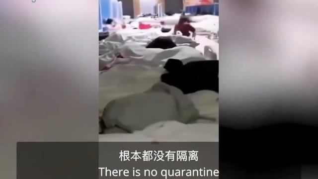 Coronavirus Quarantine How to Avoid смотреть онлайн