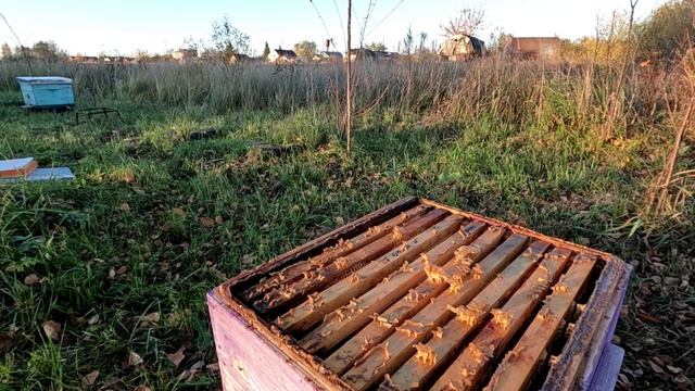 Отвечаю на вопросы оставленные в комментариях смотреть онлайн