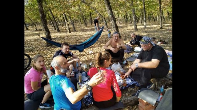 Алекс Лес смотреть онлайн