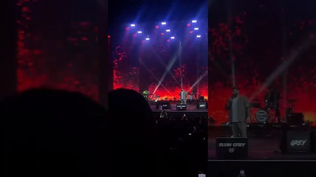 Бродяга пришел на Юбилей Элвина Грея #elvingrey #бродяга смотреть онлайн