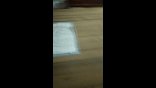 все алабайчики разъехались по новым домам смотреть онлайн