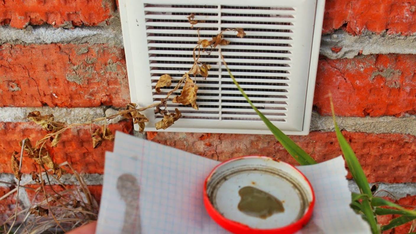 Как избавиться от Мышей.Намазал Этим в подвале и Мыши Ушли. смотреть онлайн