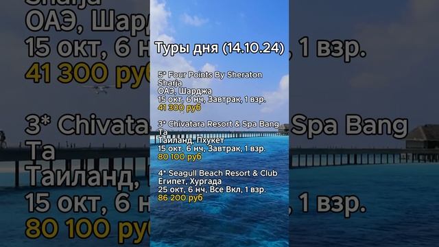 ⭐️⭐️⭐️ТУРЫ ДНЯ (14.10.24)⭐️⭐️⭐️

#shorts #отдых #море #отпуск #путешествия
