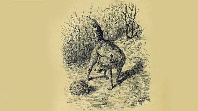 «Себе на уме» смотреть онлайн