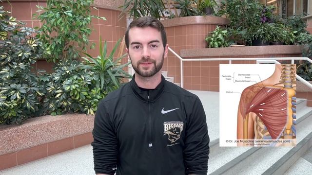 PHYSIO STUDENTS FAV & LEAST FAV MUSCLES #uofm #classof2023 смотреть онлайн