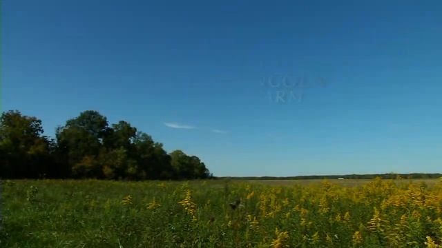 Lincoln's Land - Claim Your Deed! смотреть онлайн