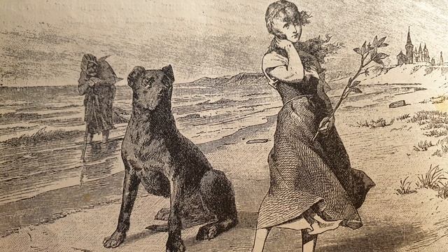 Три птички смотреть онлайн