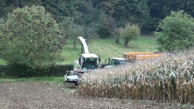 Mais Hakselen 2010 : Loonbedrijf Snijders/Cerfontaine met Claas Jaguar 900 en Ginaf 6x6 смотреть онлайн