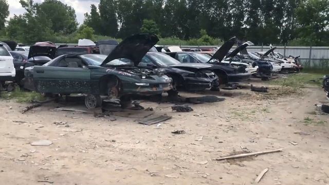 LS engines for all! All you can haul! смотреть онлайн
