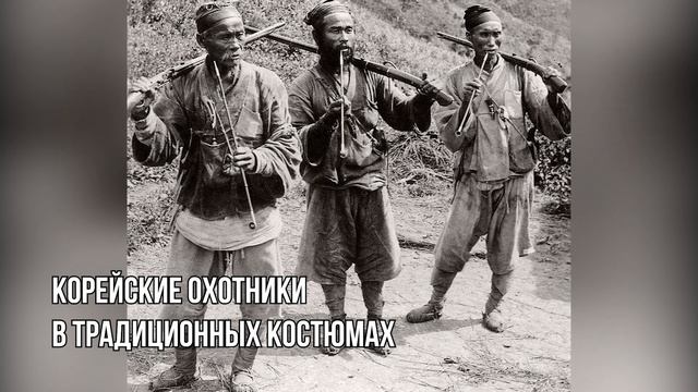 Первая видеоэкскурсия «Земли леопарда» участвует во всероссийском фестивале смотреть онлайн