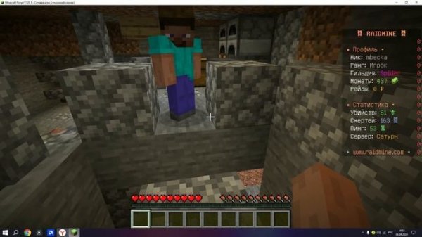 Выживание на RaidMIne