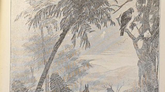 Рождественский рассказ. «Светочкин сон». В.П. Желиховская. смотреть онлайн