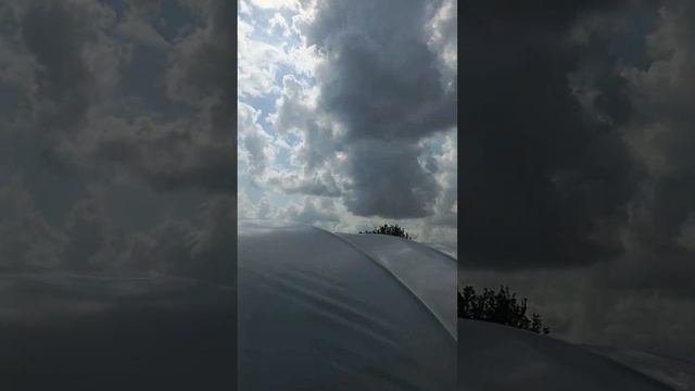 Натянули второй балаган для клубники #farming #клубника #огород #сад #лето #садоводство #урожай смотреть онлайн