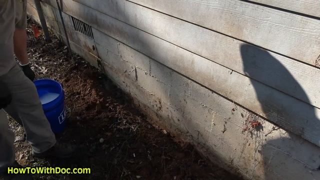 DIY Home Termite Treatment - Long Lasting