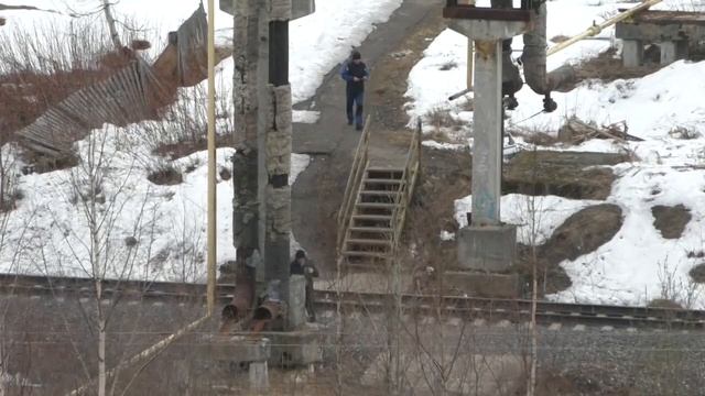 Самоизоляция довела людей. смотреть онлайн