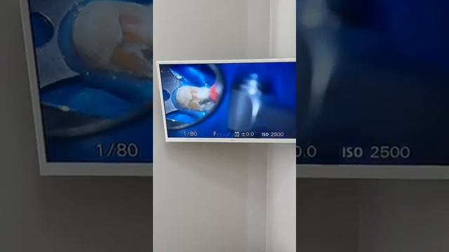 Отзыв о файлах S-Flexi от Михаила Певзнера смотреть онлайн