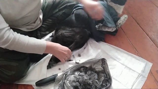 25 часов в сутках смотреть онлайн