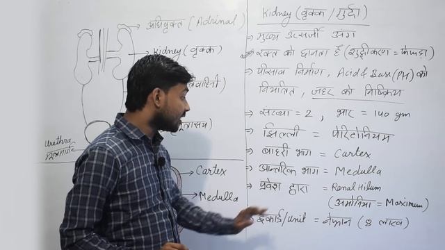 Excretory System | उत्सर्जन तंत्र | Kidney | गुर्दा | वृक्क | Khan GS Research Center | Patna смотреть онлайн