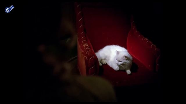 Hanım Türk Filmi | Necip Kaptan'ın Çatanası Son Seferine Çıkar смотреть онлайн