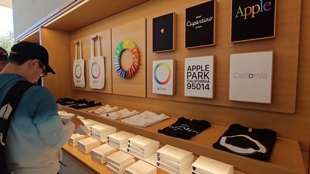 VLOG 1 NGÀY ĐI THĂM SILICON VALLEY Ở MỸ: APPLE, GOOGLE,… | CHILL WITH DAN смотреть онлайн