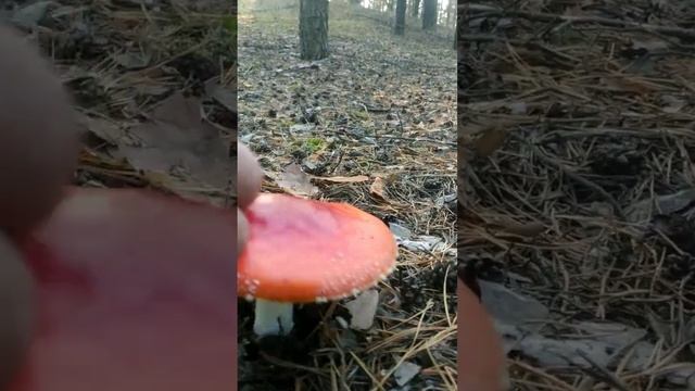 Ключ к тайнам вселенной. смотреть онлайн