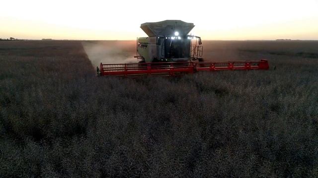 CLAAS LEXION 8900 - John Wallace | CLAAS Harvest Centre смотреть онлайн