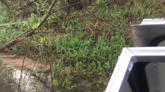 Сибирь-Матушка смотреть онлайн