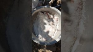 Балык из жереха, как сделать балык из жереха.