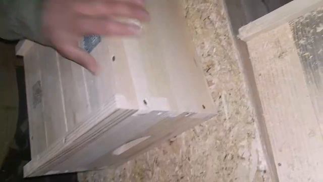 Нуклеус на 2 семьи от Eko Vulyk