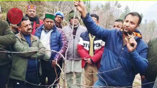 Gala Apple Pruning | गाला सेब की Pruning | Himalayan Farming | Live update With Dr. Dhanta смотреть онлайн