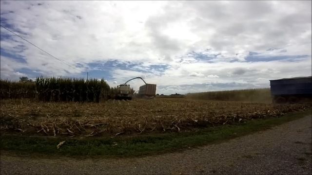 GoPro SILATO/CHOPPING CORN 2015 BIOGAS CLAAS JAGUAR 960 FENDT 824 FENDT 312 MF 6499 MCCORMICK смотреть онлайн