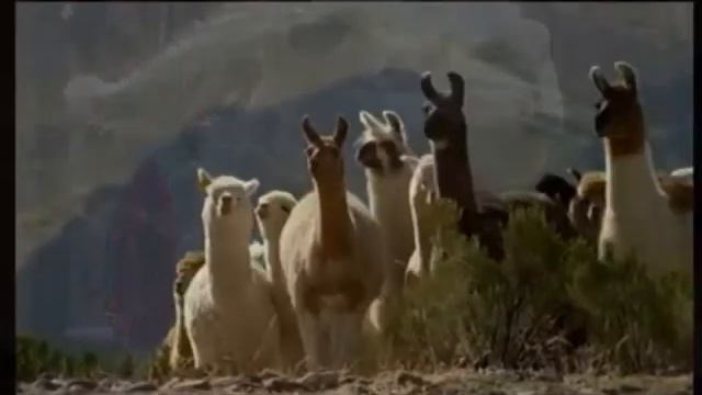 The Andes - Peru- Native American.wmv