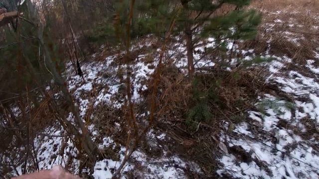 за щуром с друзьями смотреть онлайн