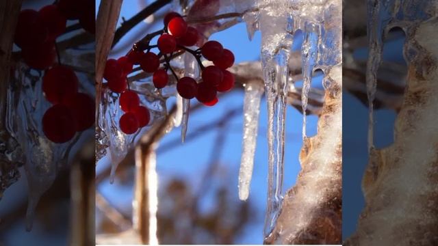 Сюрпризы февраля © Copyright: Бронислав Сычёв, 2021
Свидетельство о публикации №121060703394 смотреть онлайн