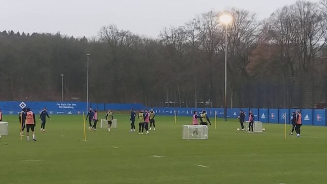 Endlich mal wieder bewegte Bilder vom Training auf 4 kleine Tore mit Volldampf!Nur DER HSV ❤🖤💙 смотреть онлайн