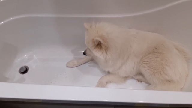 Луна и петарды смотреть онлайн