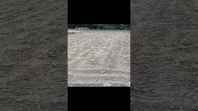 А планов ещё- громадьё !