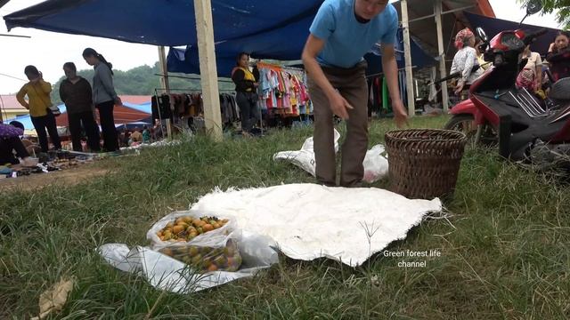 Fruits in mother's garden, help her harvest and sell. Green forest life смотреть онлайн