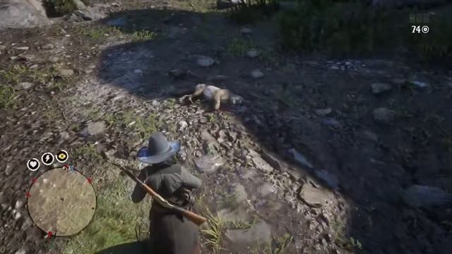 RDR 2 Tall Trees Cougar смотреть онлайн